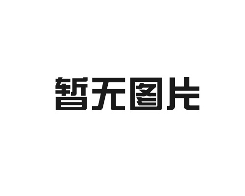 91水蜜桃在线视频播放——雅麗